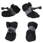 Kit com 4 Botinhas para Pets