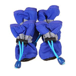 Kit com 4 Botinhas para Pets