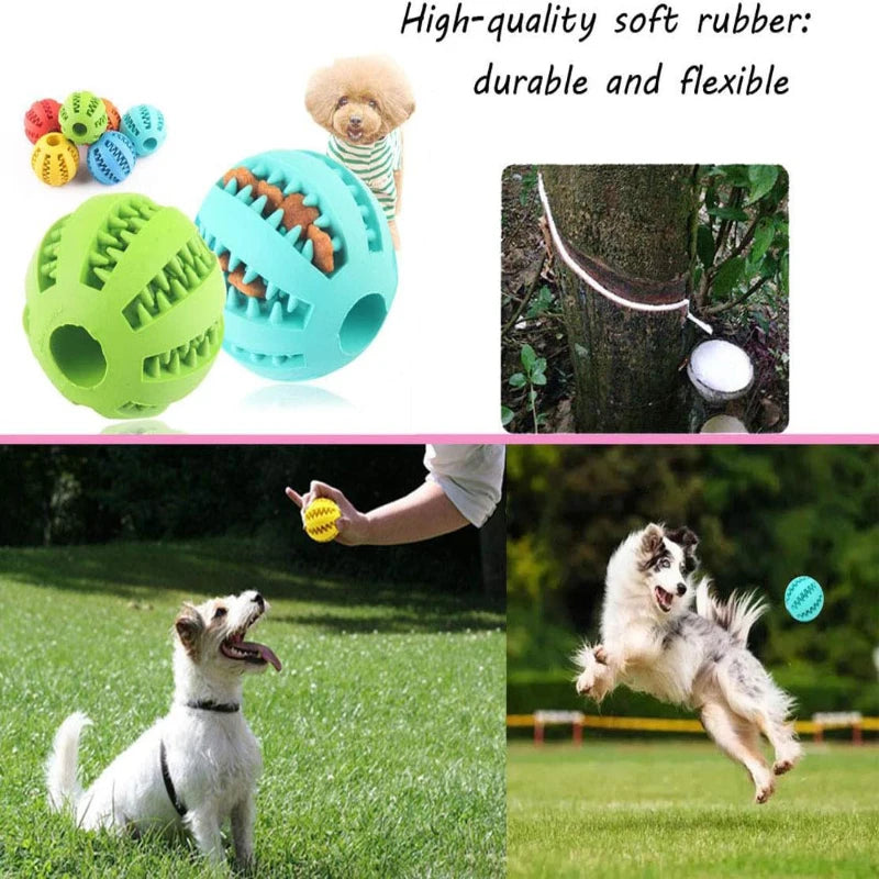 Bola Interativa para Pets – Brinquedo de Borracha para Cães e Gatos